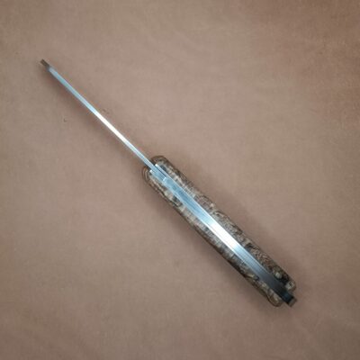 LE HAVRAIS loupe d'hêtre