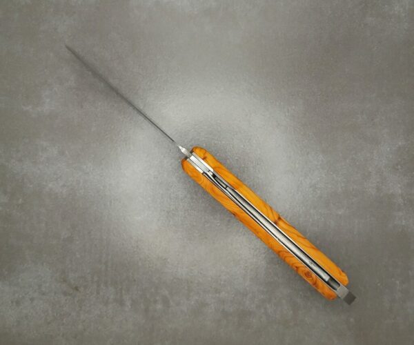 LE HAVRAIS loupe d'if